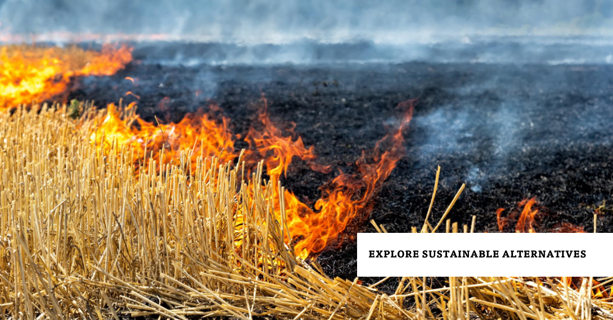 Exploring Stubble Burning Advantages and Sustainable Alternatives