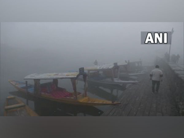 Dense layer of fog engulfs Srinagar as temperature dips to sub-zero