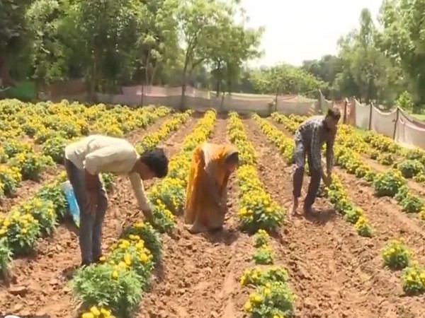 Gujarat Leads the Nano Agriculture Revolution