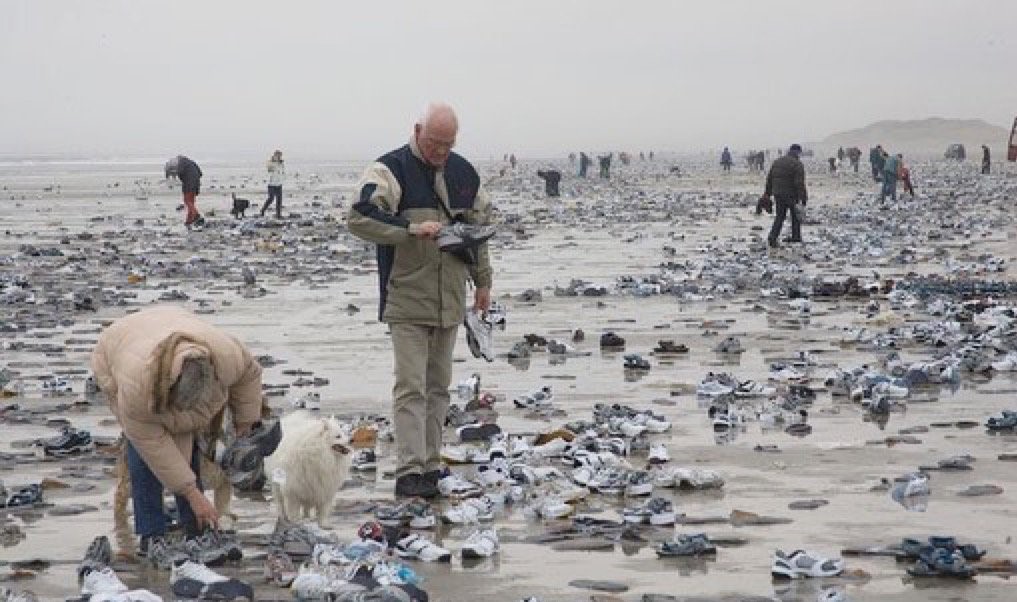 Swiss shipping line asked to reimburse clean-up cost of debris near Dutch islands