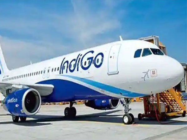 Foggy Skies Impact Flights: Indigo's Alert Amidst Delhi's Poor Air Quality