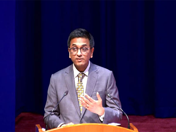 No case is big or small for courts: CJI DY Chandrachud