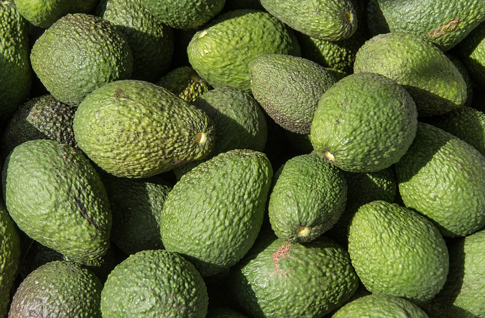 Wholesalers stockpiling avocados after Trump call for 100 pct shut down of US border