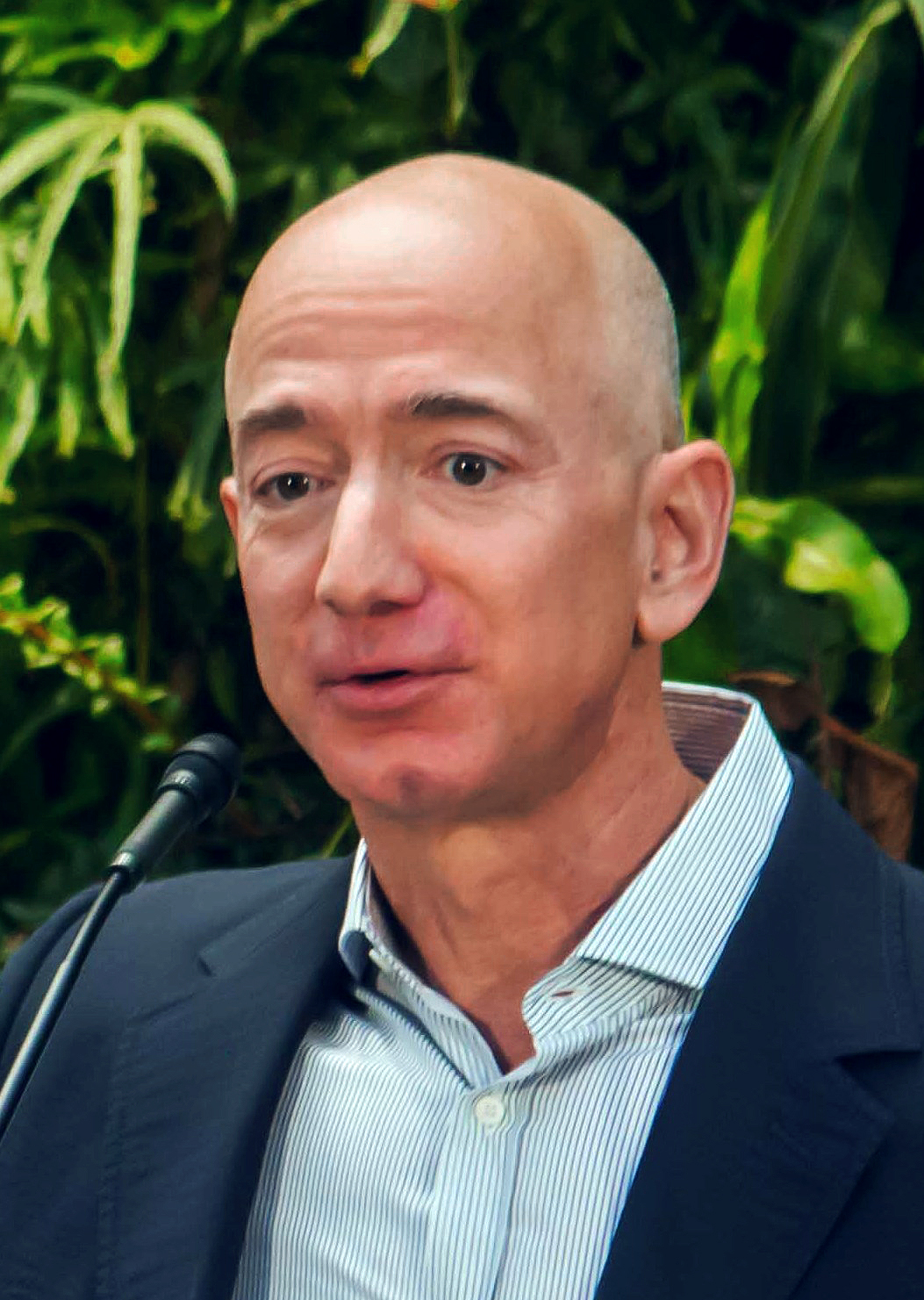 FACTBOX-Jeff Bezos' journey from suburban garage to edge of space