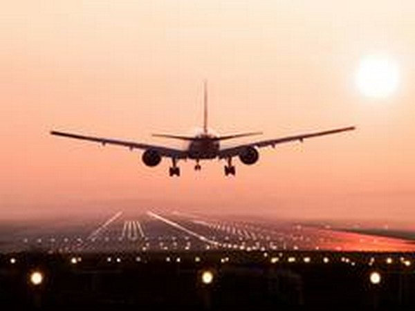 Dubai-bound AI flight returns to Chennai due to technical reasons