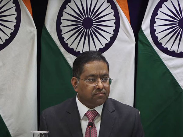 'Contradiction between comments by minister, spokesperson': MEA on Pakistan looking to resume trade with India