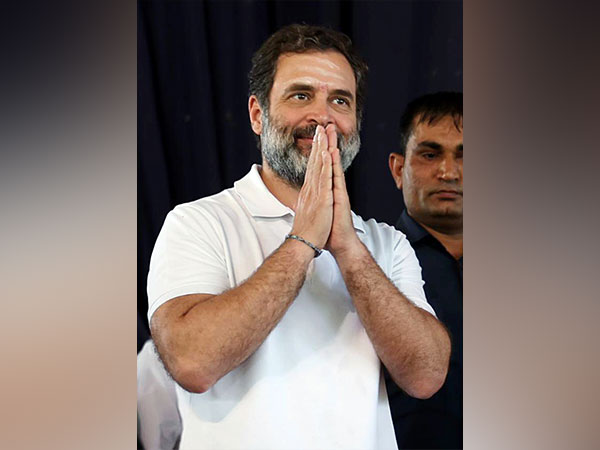 "People of Shimla have reposed faith in Congress," says Rahul Gandhi after party registers victory in civic polls