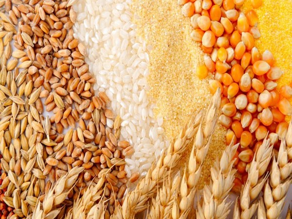 Russian-held Ukraine region scheming to sell grain to North America -RIA 