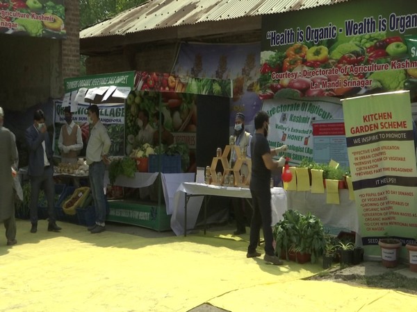 J-K sets up organic vegetable market in Srinagar with aim to revive traditional farming