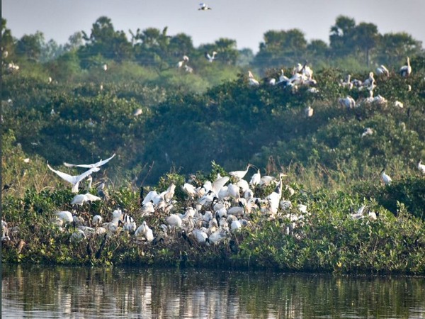 Tamil Nadu: six more wetlands get Ramsar recognition