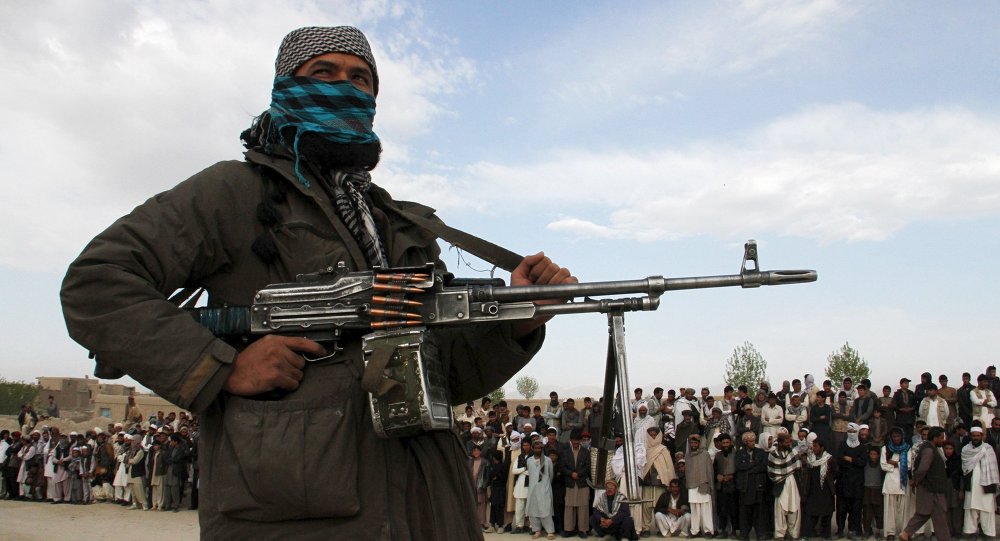 Taliban fighters ambush Afghan security forces' convoy in Farah province, 22 killed