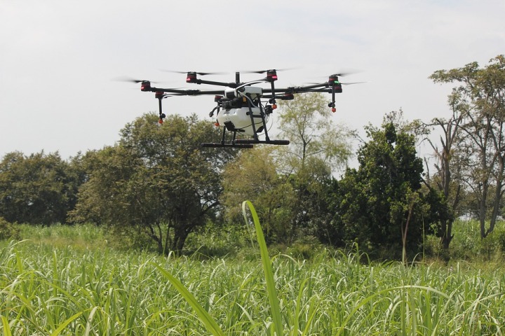 Harnessing digital innovations to attract youth in agriculture