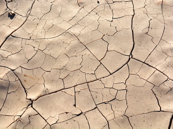 Water levels at Lake Titicaca dropping quickly after unprecedented winter heat wave: Report