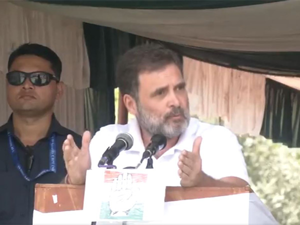 Rahul Gandhi Vows To Restore Jammu and Kashmir's Statehood Amid Elections