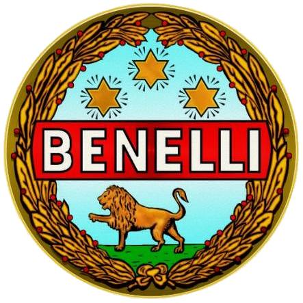 Benelli launches Leoncino 250 in India