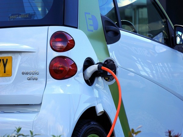 Frucor Suntory to replace entire sales fleet with hybrid e-vehicles