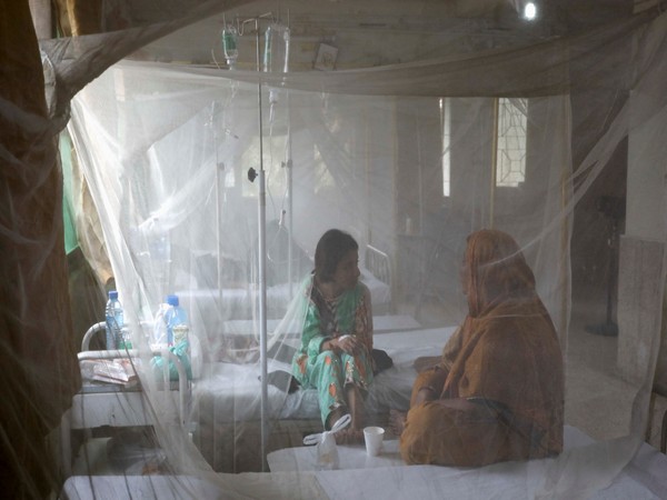 Dengue Cases Surge in Islamabad: A Health Crisis Amidst Climate Challenges