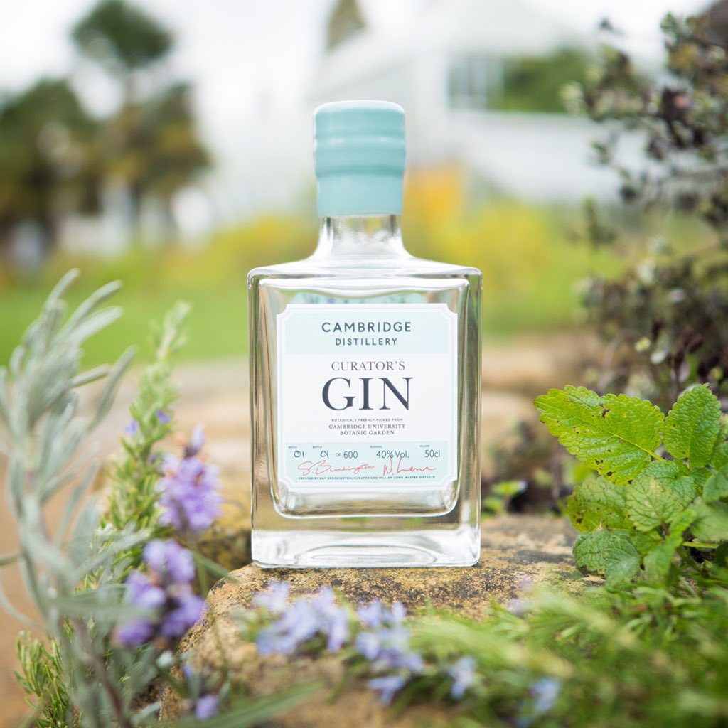Cambridge University launches Curator's Gin to compete with Oxford's Physic Gin