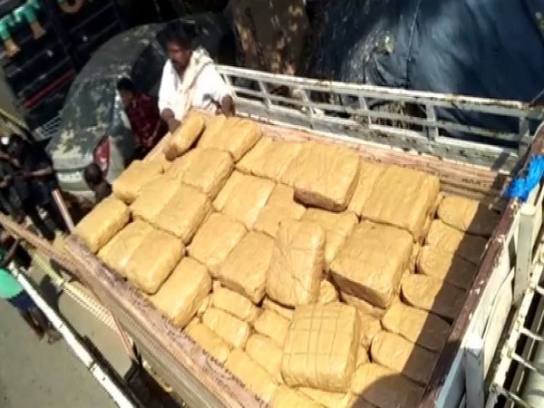 1,900 kg ganja seized in Odisha's Ganjam district