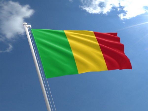 Mali's interim government forms new 121-seat Legislative Council