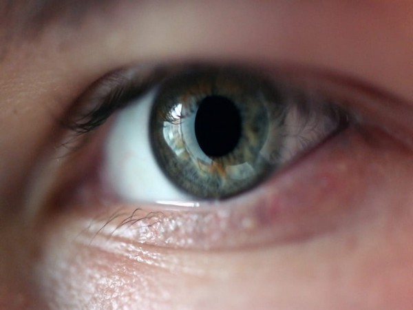 Study focuses on restoring rudimentary form of vision in the blind