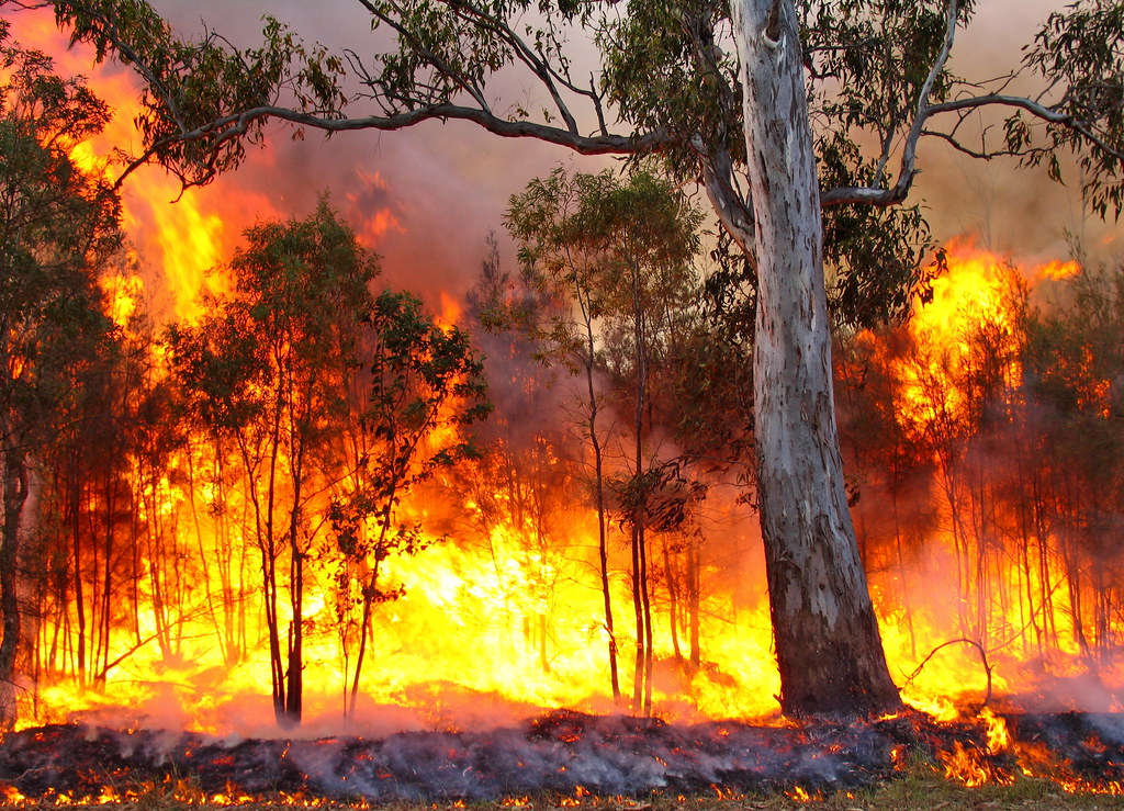 Short fuse links bushfires with domestic violence