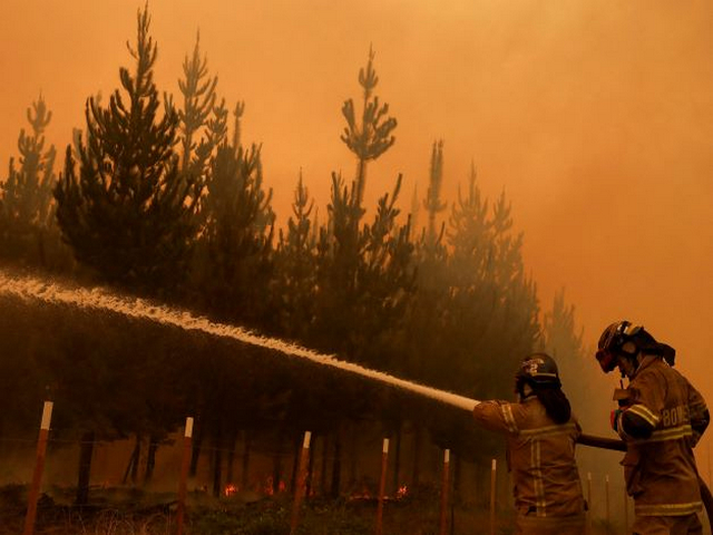 22 killed in Chile wildfires, say officials