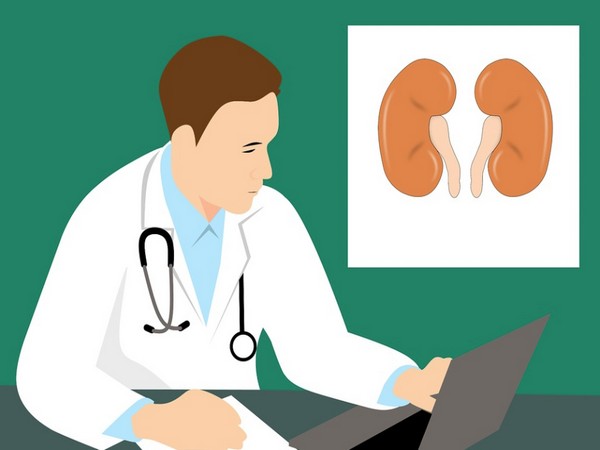 World Kidney Day: One third of children with kidney tumour have hereditary predisposition