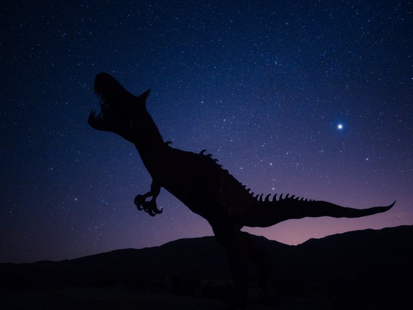 New Species Of Stegosaur Is Oldest Discovered, Reveals Stud | Science ...