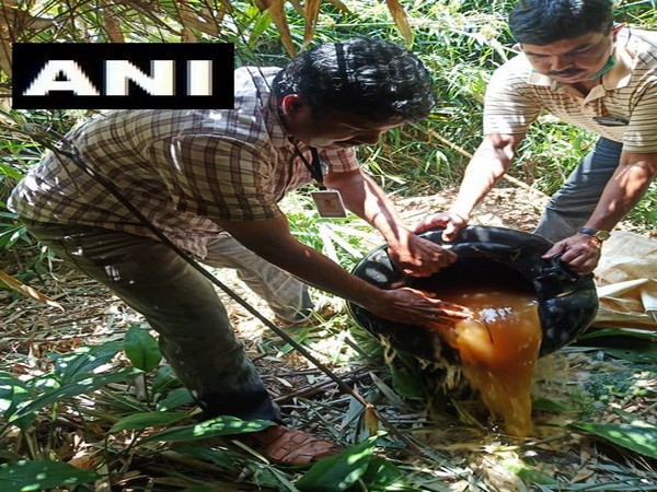 Kerala: 530 litres of illicit liquor seized in Wayanad