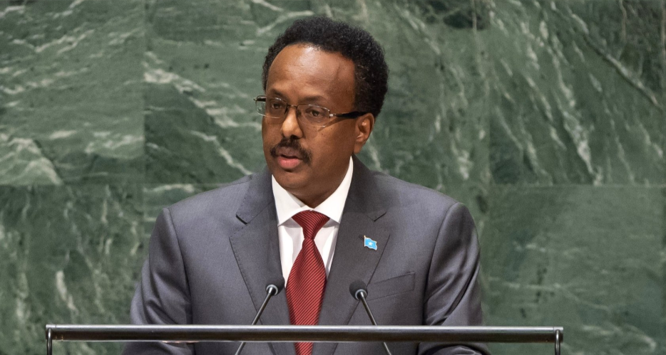 Somalia: President Farmajo thanks Turkey for medical assistance to fight COVID-19 