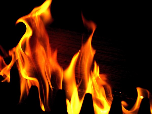 Fire breaks out in forest area in north Delhi