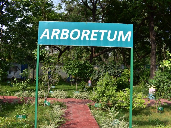 World Environment Day: U'khand inaugurates its biggest biodiversity park in  Haldwani | Headlines