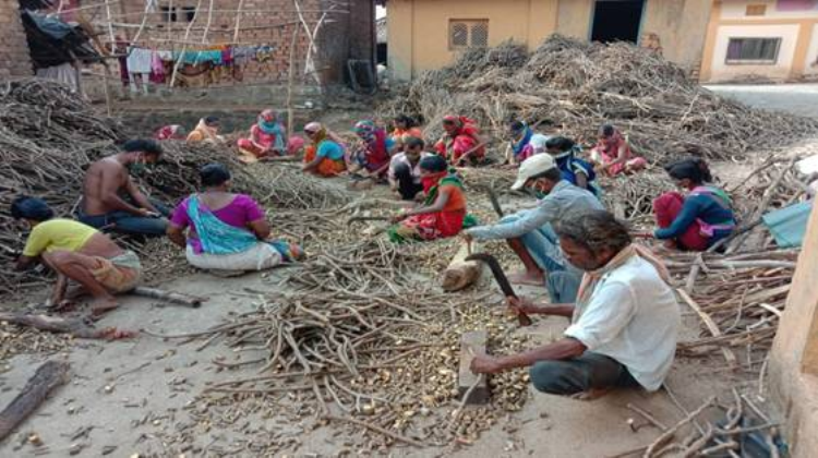 Van Dhan Kendras helping tribals to generate livelihood during Covid crisis in Maharashtra