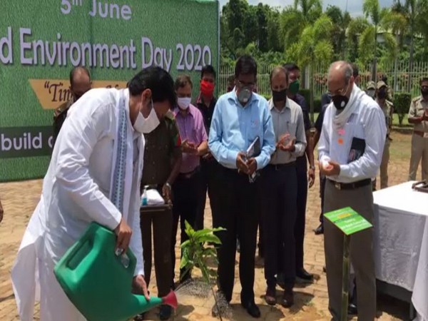Tripura celebrates World Environment Day, prepares one lakh bamboo saplings for planting