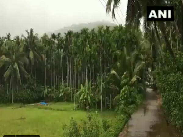 Southwest monsoon arrives in Karnataka, parts of state receives light showers