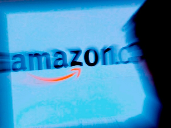 Karnataka govt to take legal action against Amazon after Canada unit found selling bikini with state flag