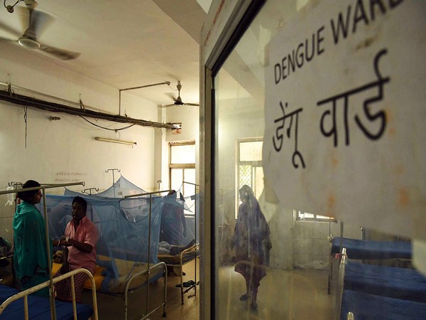 Delhi reports 32 dengue cases in June, 143 so far this year 