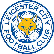 Leicester City Parts Ways with Manager Steve Cooper