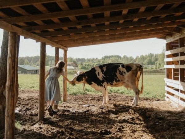 Outrage in Uttar Pradesh: Viral Video of Cow Mistreatment Sparks Legal Action