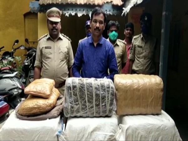 77 kgs of cannabis seized in Andhra Pradesh's Krishna; five detained 