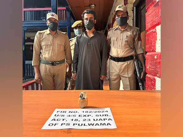 Pulwama Police Thwart Terror Attack, Seize Grenade and Arrest Accomplice