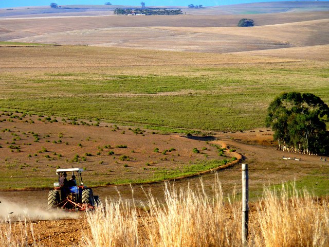 Statistics South Africa to conduct Census of Commercial Agriculture from Oct 15
