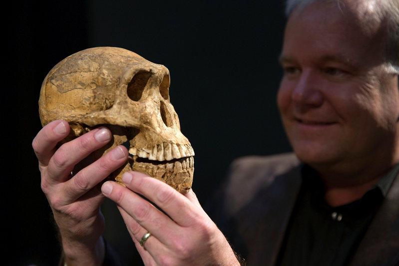 Study reveals, Homo sapiens inherited viral defences from Neanderthals