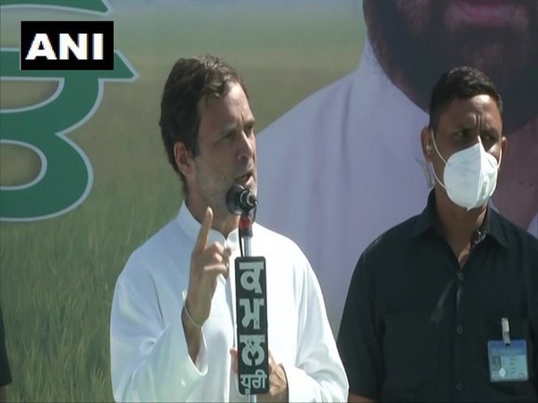 Centre is doing what the East India Company had done: Rahul Gandhi
