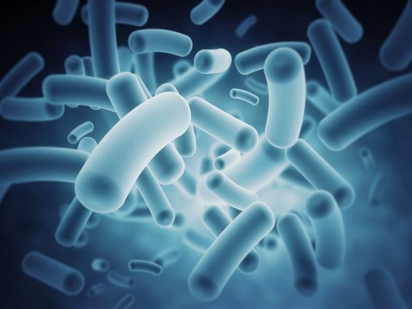 Shigella bacteria outbreak behind suspected food poisoning incident in Kerala