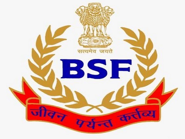 BSF seizes 14 kg marijuana, prohibited cough syrup on India-B'desh border in Bengal 