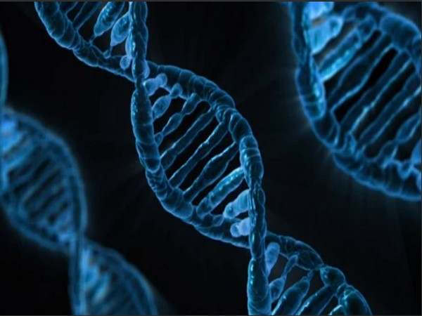 New genetic study of heart defects, autism discovers new causative genes