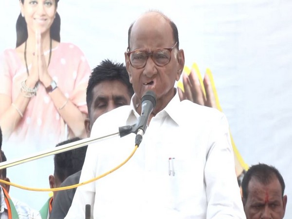 Sharad Pawar Considers a Shift: Passing the Torch in Politics