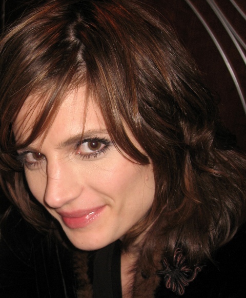 Former "Castle" star Stana Katic says, there are many exciting opportunities in spy film genre for actresses